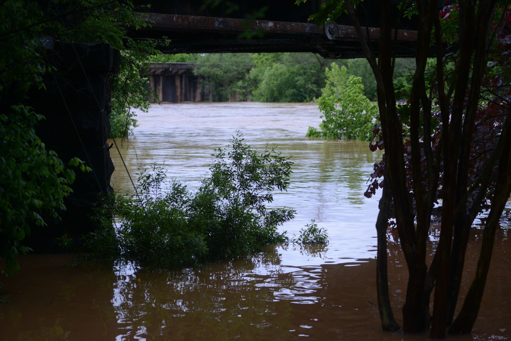 Flood